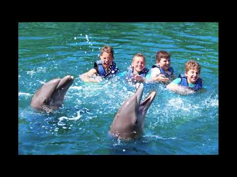 Unit 2 Project - Trip Advisor Review Columns —Speaking Mini Video Blog/Emiliano De la Rosa-A01915397