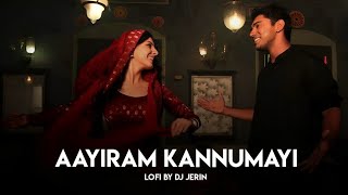 Download lagu Aayiram Kannumayi  | Malayalam Lofi | Vineeth Sreenivasan | Thattathin Marayathu | DJ JERIN mp3