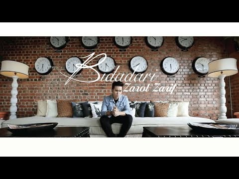 Zarol Zarif - Bidadari (Official Music Video)