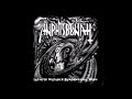 Anphisbenah Infinite Mutable Fundamental Form 2004 Full Lenght