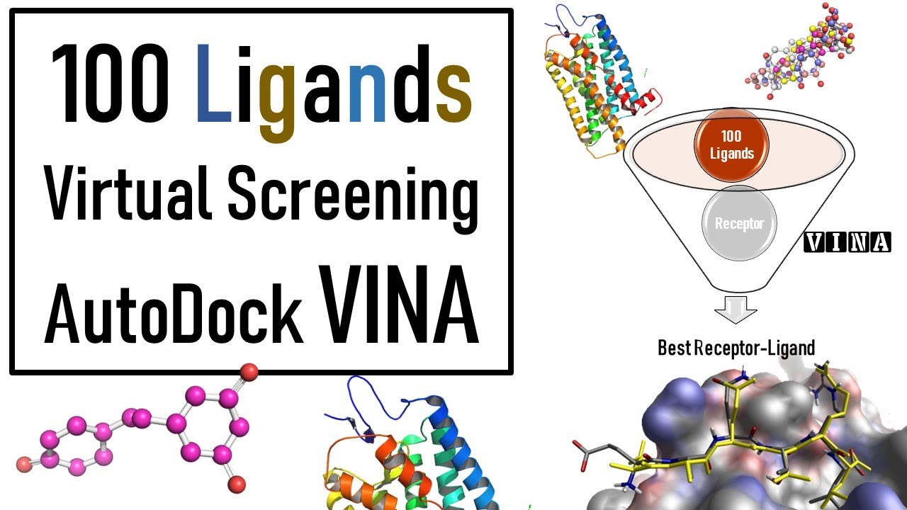 Molecular Docking  | Autodock VINA Virtual Screening  | VINA Docking tutorial | Bioinformatics