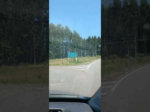 Ruta 90. LO QUE SE VE EN PAYSANDÚ