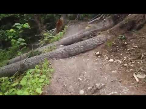 Spre Cascada Urlatoarea