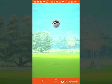 3 excelentes seguidos - Missão Larvitar