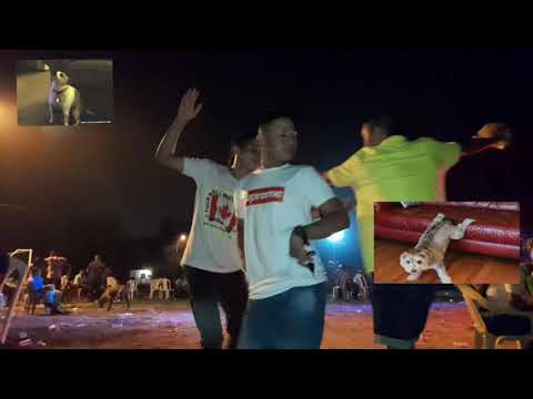 El Perro Con Perro🦮🐩