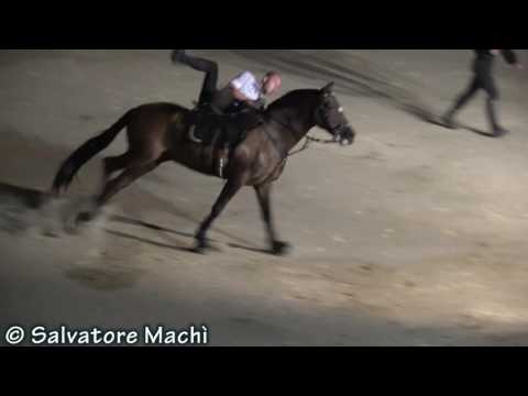 Francesco Di Martino - Galà