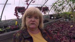 Schenectady ARC- Maple Ridge-Green House