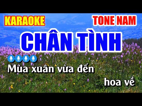 CHÂN TÌNH Karaoke Tone Nam Chuẩn | Karaoke Hoài Linh