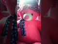 Teddy Song Teddy Bear Songs Teddy Movie Songs WhatsApp Status Teddy Lovers