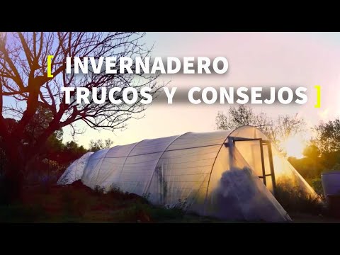 , title : 'INVERNADERO 👩‍🌾 | TRUCOS y CONSEJOS'