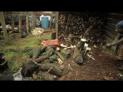 Wie ich nasses und schleimiges Brennholz spalte || Tipps & Tricks für leichteres Spalten || Wooly...