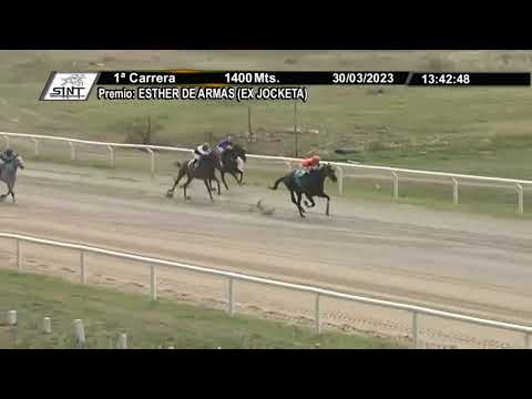 CARRERAS SINT COLONIA 230330 c01 - 1° ONE DOLLAR