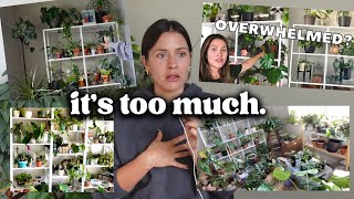 10 steps I took to STOP buying plants