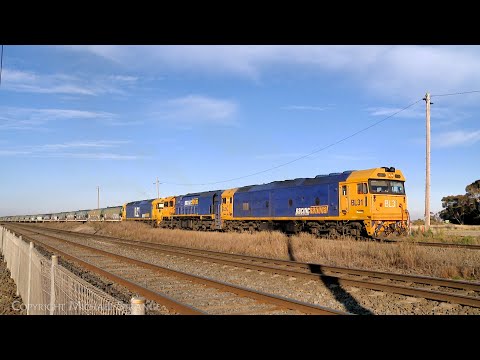 7731V Pacific National Grain Train With BL31 XR559 BL27 Departs Gheringhap Loop (1/8/2024) - PoathTV