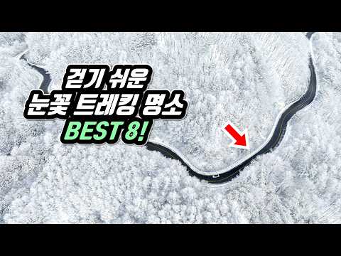 ❄️ 와! 북유럽 보다 아름다운 국내 눈꽃 트레킹 명소 BEST 8 |🚶걷기 쉽고 대중교통 OK! |🇰🇷 8 Beautiful Snow Trekking Course in KOREA
