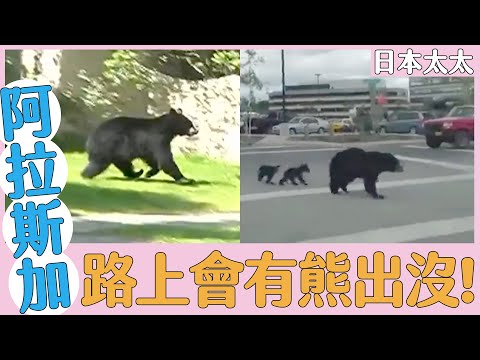 日本太太好吃驚