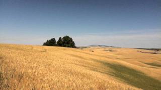 preview picture of video 'Crop Dusting on the Palouse'