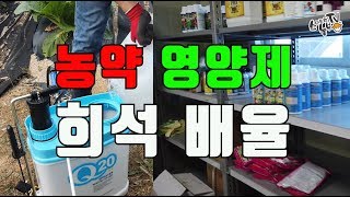 농약희석배수 배율 영양제 액상비료 희석 방법 농약혼용