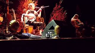 Lisa O&#39;Neill, &quot;Rock the Machine&quot;