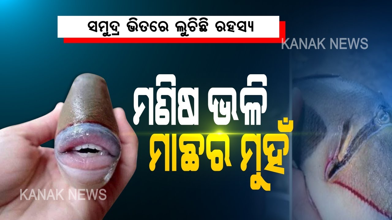 Special Report: Fish With Human-Like Teeth And Lips Spotted In Malaysia | Kanak News