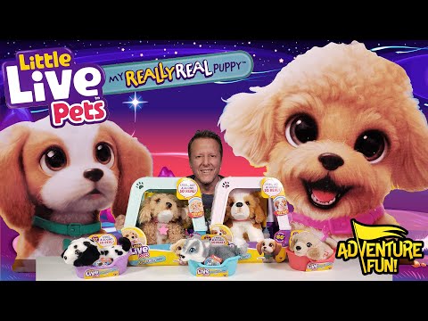 5 Little Live Pets My Really Real Puppy! Feels, Act & Sounds Real Adventure Fun Toy review!