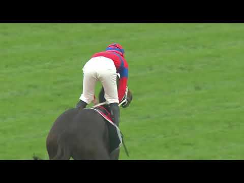 2021 George Main Stakes - Verry Elleegant