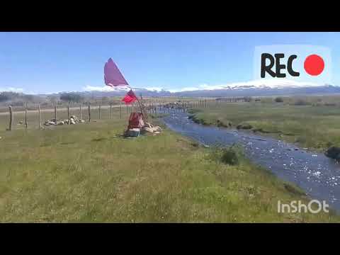 En el Campo de loncopue Neuquen Argentina video 6.584 🐄🐂🌲🍁🌾📽📺🎬 😎 .