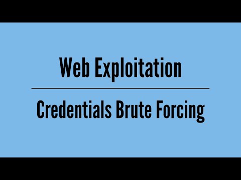 Introduction to Web Exploitation