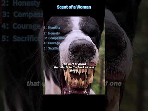 Hellhound SHRINKS Into a Tiny Puppy?! 🐶🔥 The Antichrist’s First “Miracle”