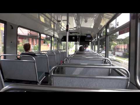 Punchbowl Bus Co. M/O 368 - Hino RG197K (Allison/Custom Coaches 210)