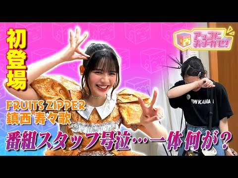 【アッコにおまかせ！】FRUITS ZIPPER鎮西寿々歌が初登場！