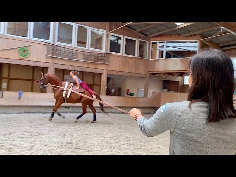 Teil 19 Sportstipendium Behind the Scenes mit Hannah Steverding