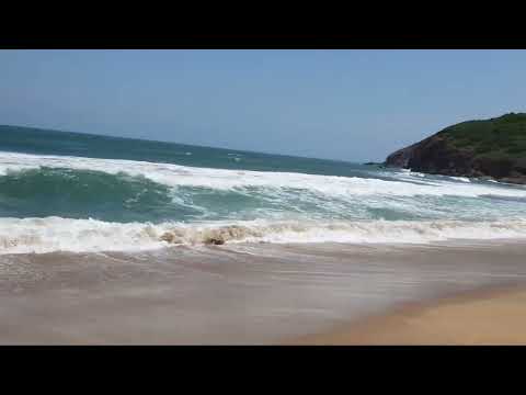 THE CRAB BUILT HOME IN SAND | STRIGGLE FOR LIFE | SAILOR AVINASH SINGH | SEA AND THE SEA BEACHES |