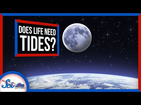 How Earth’s Tides Gave Us Life As We Know It