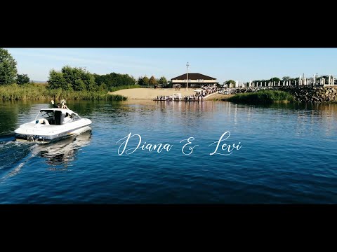 🌹 Diana & Levi 💎 Wedding Story 💒