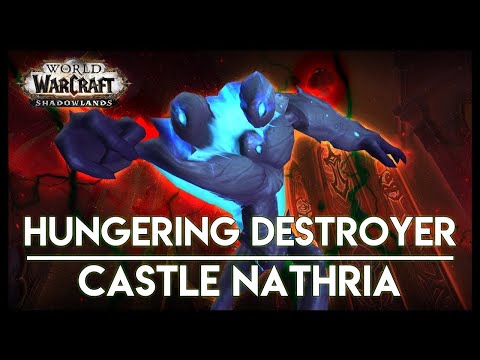 Hungering Destroyer Mythic - Melee PoV