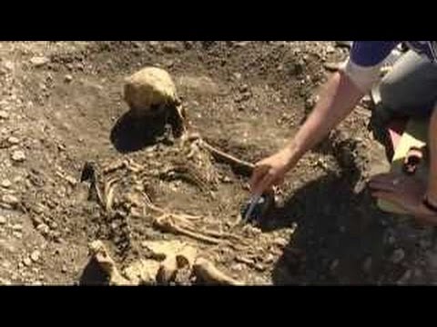 Schliemanns Erben 16 Die Schatzinsel der Wikinger