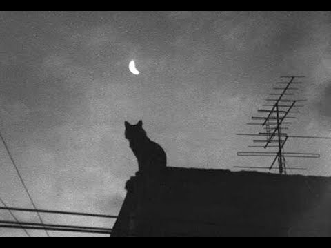 download lagu mp3 mp4 In Der Nacht Sind Alle Katzen Grau, download lagu In Der Nacht Sind Alle Katzen Grau gratis, unduh video klip In Der Nacht Sind Alle Katzen Grau