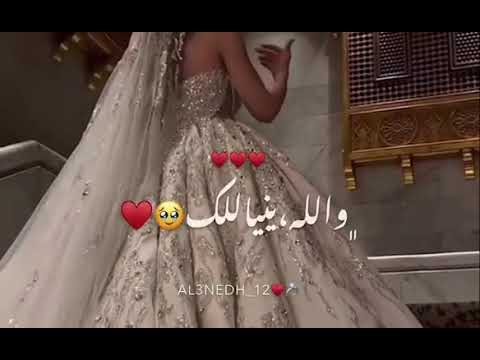 لبسوكي تاج وطرحة حالات واتس أب للعروس عروسة 2025 ️