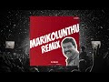 Marikolunthu Remix Kanninum Kannadikkum Kalabhavan Mani DJ RASH