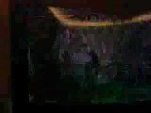 Final Round 11 Latif (Edward) vs Jan (Pot) Match 1