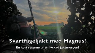 Svartfågeljakt med Magnus!  / Barrborns Jakt&amp;Naturfilm