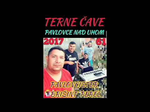 TERNE CAVE 61 - PAVLOVCISTE BRISINT PEREL 2017
