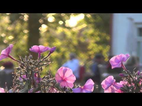 Tõnu Timm ja Jaanus Nõgisto kontsert Nabala Mõisas