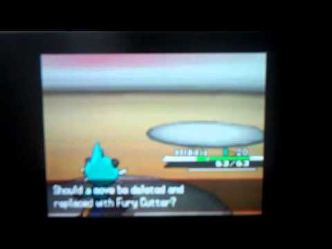 pokemon black and white part 9:gym,missing bones,creepy artist,bad guys!