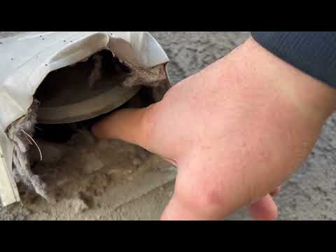 Badly Broken Dryer Vent is a Entrance for Rats in Deal, NJ