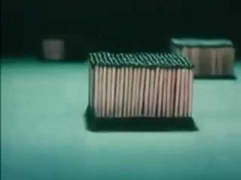 Dáma s polenem - Prdel na hrnec