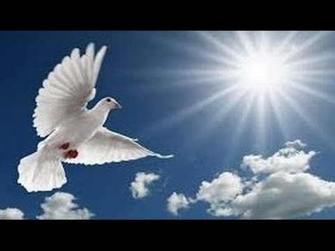 Dum venerit Paraclitus - Dominica IV Post Pascha (Communio)