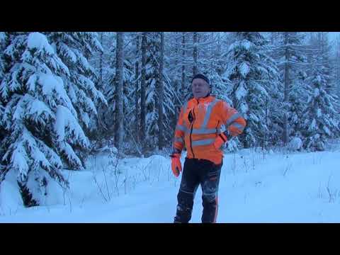 Metsolan Metsäkoulu 43, Pystykarsinta