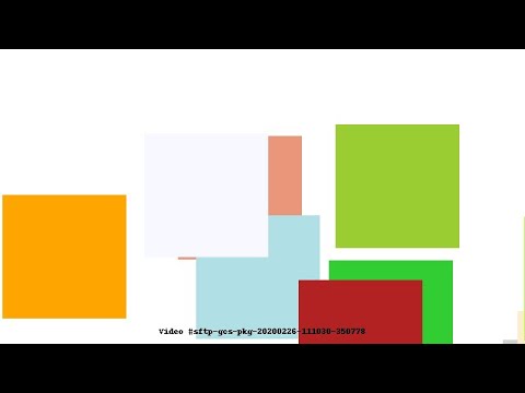 Video #sftp-gcs-pkg-20200226-111030-350778